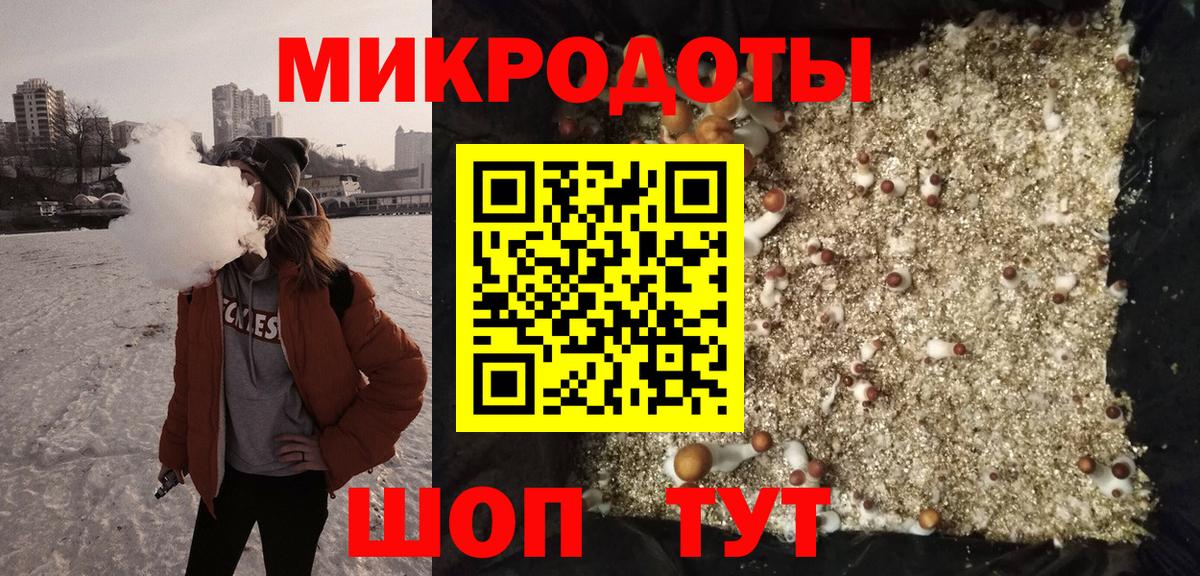 наркотики  Псилоцибиновые грибы Magic Shrooms  Вход с VPN  Кандалакша 